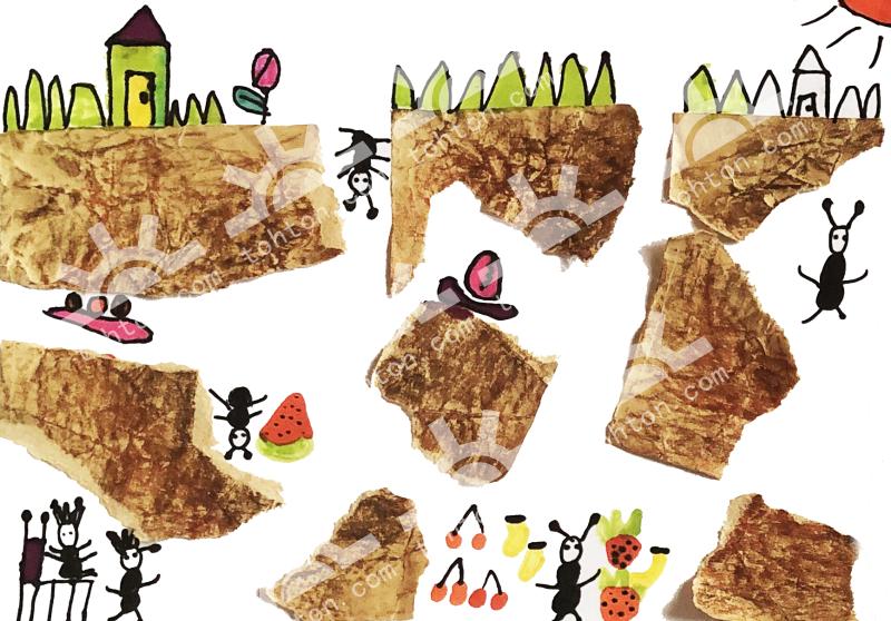 蚂蚁的地下王国