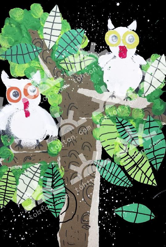 温暖的猫头鹰一家