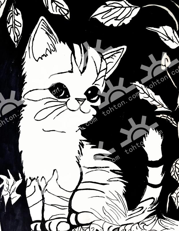 花与猫