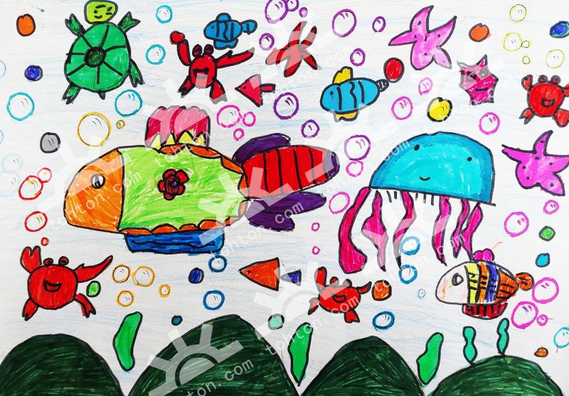 美丽的海洋世界