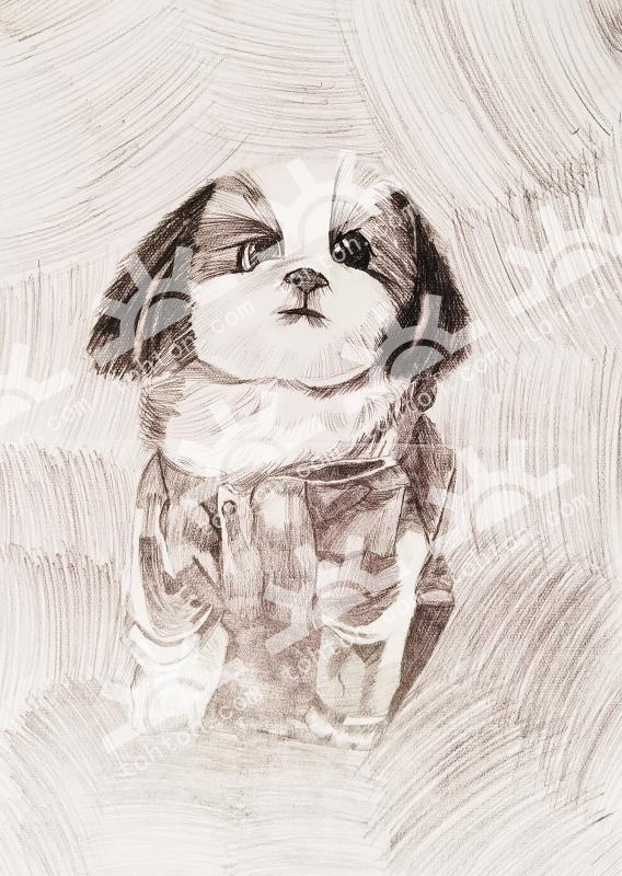 我给可爱的贝贝画张像