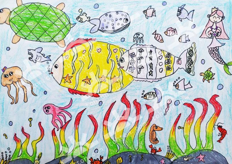 美丽的海洋世界