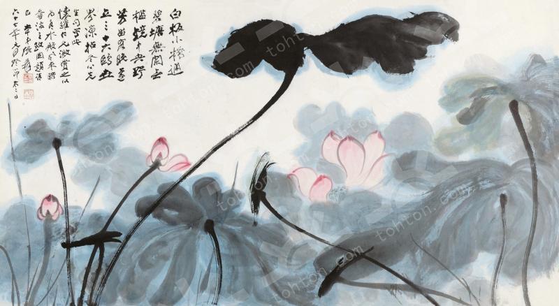 荷花图一