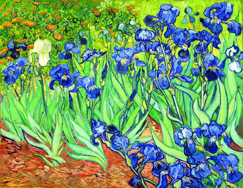 Irises