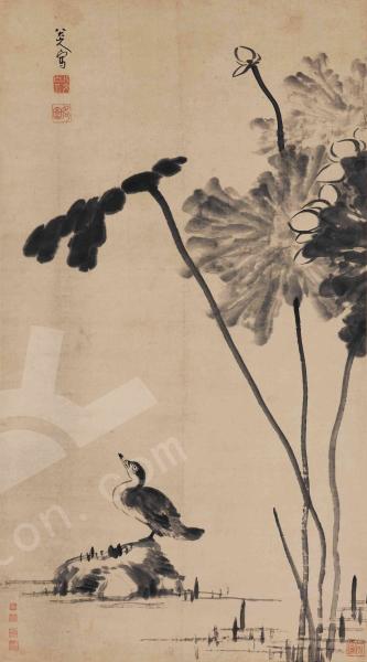 菱鸟